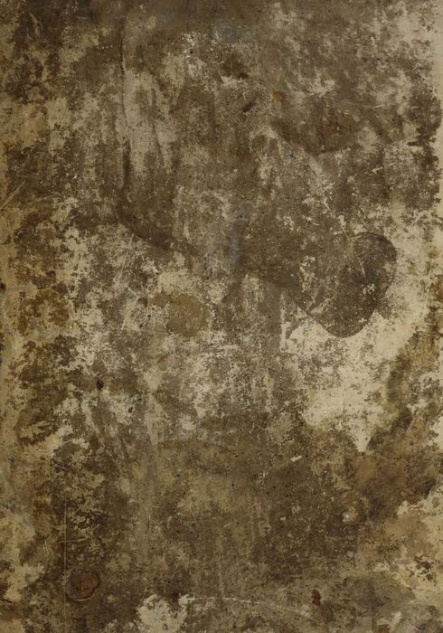 Русская история и история Петра Великого