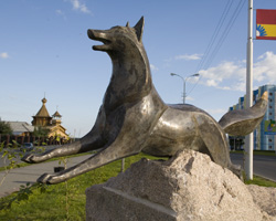 Стихи о Сургуте
